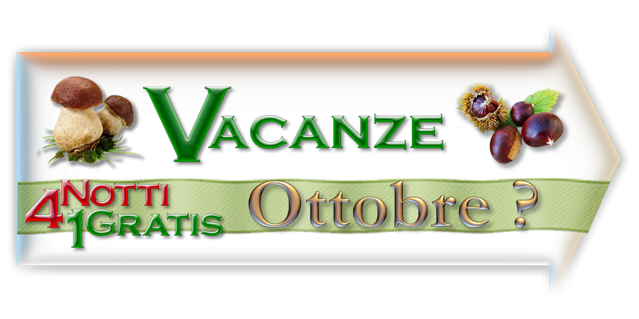 vacanze pet friendly emilia romagna